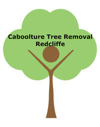 Caboolture Tree Removal Redcliffe - Tree Surgeons & Arborists In Redcliffe