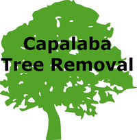 Capalaba Tree Removal - Tree Surgeons & Arborists In Capalaba