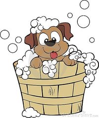 Hobart Mobile Dog Wash and Grooming - Barking Bubbles - Pet Groomers In Westerway