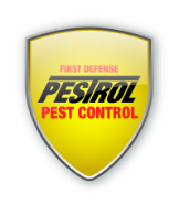 Pestrol - Pest Control In Alexandria