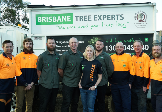 Brisbane Tree Experts - Home Services In Brisbane City