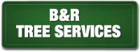 B and R Tree Services - Tree Surgeons & Arborists In Eatons Hill