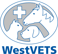 Westvets Veterinary Clinic - Veterinarians In Anstead