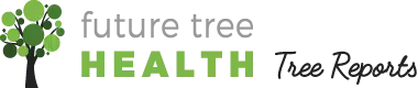 Future Tree Health - Tree Surgeons & Arborists In Carlton North