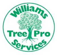 Williams Tree Pro Services - Tree Surgeons & Arborists In Banjup