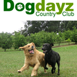 Dogdayz Country Clubs - Pet Groomers In Warrandyte