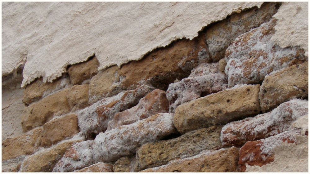 What is Rising Damp and Salt Attack?