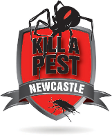 Newcastle Kill A Pest - Pest Control In Wangi Wangi