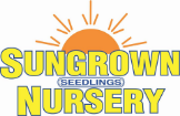 Sungrown Seedlings Nursery - Gardeners In Toowoomba City