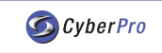 CYBERPRO - IT Services In Thornleigh