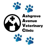 Ashgrove Avenue Veterinary Clinic - Veterinarians In Ashgrove