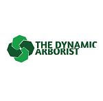 The Dynamic Arborist - Tree Surgeons & Arborists In Lysterfield South