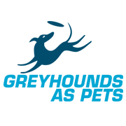 Greyhounds As Pets - Pet & Animal Services In Darlinghurst