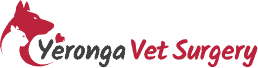 Yeronga Vet Surgery - Veterinarians In Fairfield