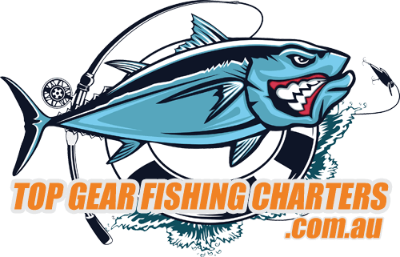 Top Gear Fishing Charters - Fishing Charters In Main Beach