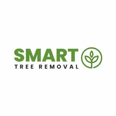 Smart Tree Removal Brisbane - Tree Surgeons & Arborists In Brisbane City