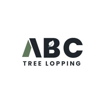 ABC Tree Lopping Brisbane - Tree Surgeons & Arborists In Brisbane City
