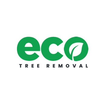 Eco Tree Removal Brisbane - Tree Surgeons & Arborists In Milton