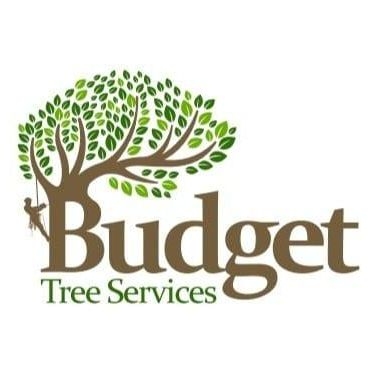 Budget Tree Removal Brisbane - Tree Surgeons & Arborists In Virginia