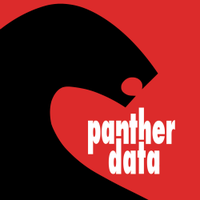 Panther Data - IT Services In Woolloongabba
