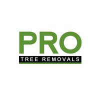 Pro Tree Removal Brisbane - Reviews & Complaints