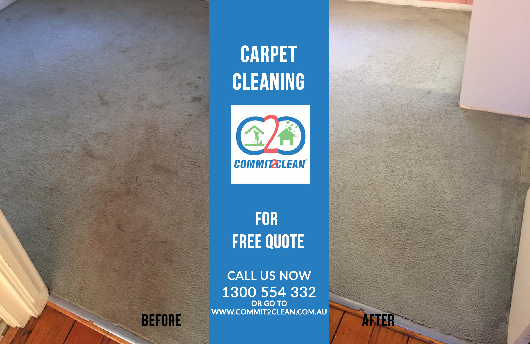 Are you searching for carpet cleaning tips?