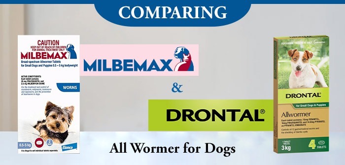 Comparing Milbemax and Drontal: All Wormer for Dogs