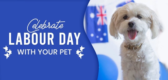 Labour Day Celebrations with your Pet
