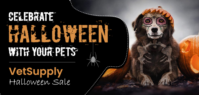 Celebrate Halloween with Your Pets