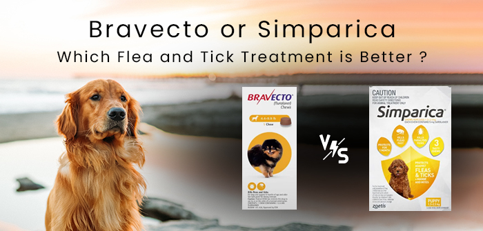 Bravecto or Simparica, Which Flea and Tick Treatment is Better ?
