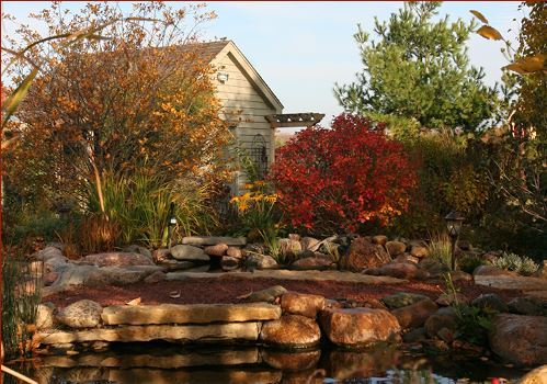 10 Tips For Autumn Pond Care