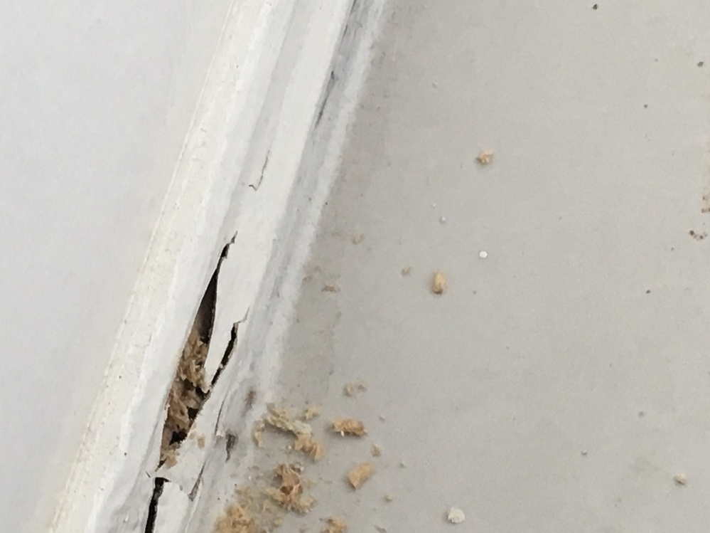 Termites found during annual termite inspection