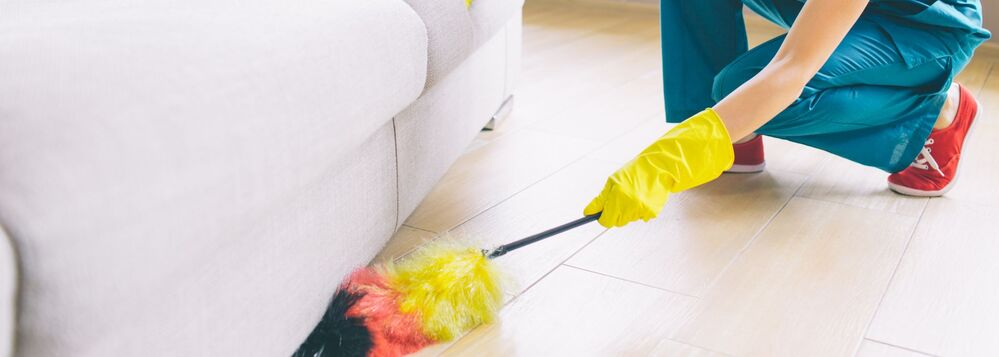 Sparkling Clean: Tips and Tricks for a Shiny Home