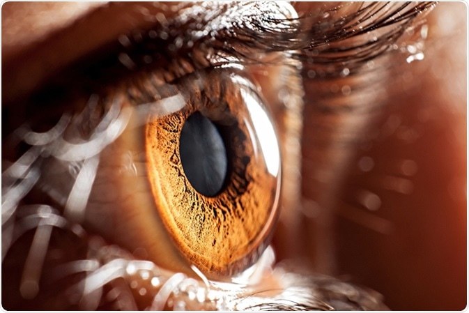 Eye Check Optometry